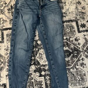 American Eagle Outfitters Blue Skinny Jeans